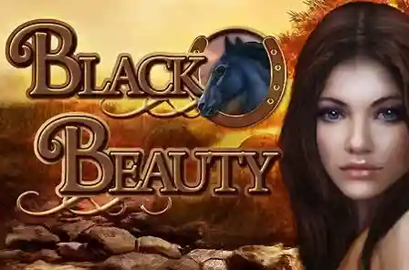 Black beauty slot game free play at casino mauritius