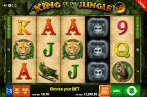 King of the jungle rhfp img