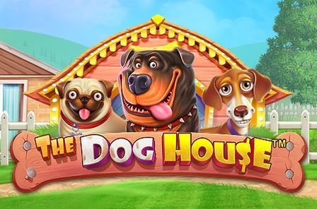 The dog house играть демо. Dog House. Dog House Slot. Doghouse слот. Dog House Pragmatic Play.