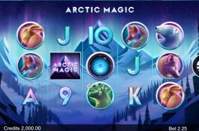 arctic-magic-img