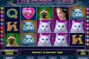 diamond-cats-img