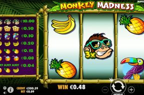 monkey-madness-img