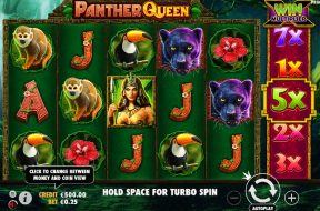 panther-queen-img