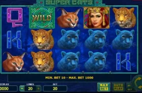 super cats img
