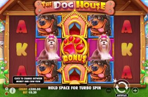 the-dog-house-img