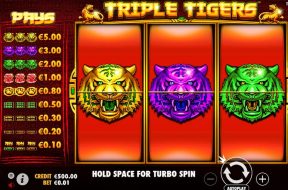 triple-tigers-img