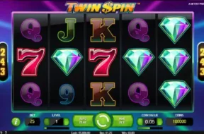 twin spin img