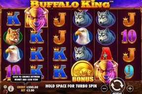 buffalo-king-img