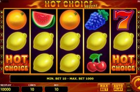 hot-choice-deluxe-img