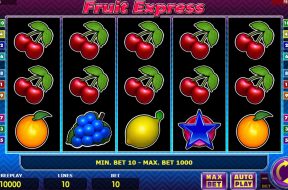 fruit-express-img