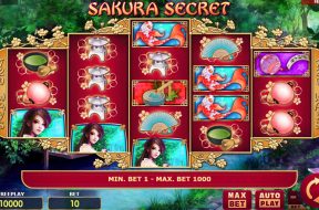 sakura-secret-img