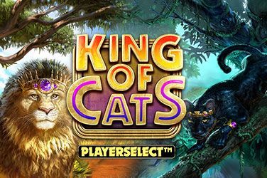 King of Cats Slot Game Free Play at Casino Mauritius