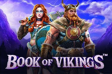 Book of Vikings Slot Game Free Play at Casino Mauritius