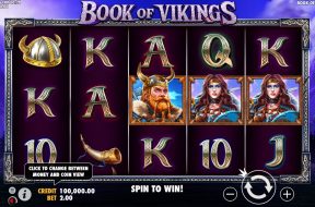 book-of-vikings-img