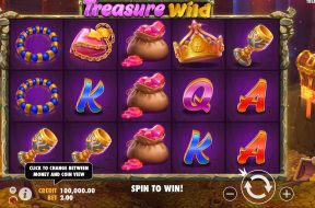 treasure-wild-img