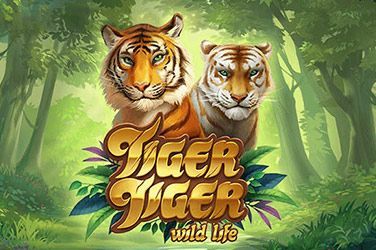 Tiger Tiger Wild Life Slot Game Free Play at Casino Mauritius