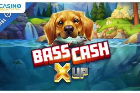 Bass Cash X Up