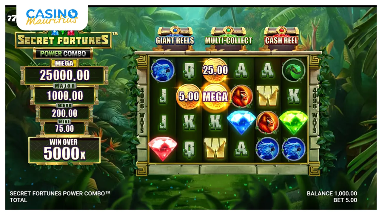 Secret Fortunes Power Combo screenshot m2