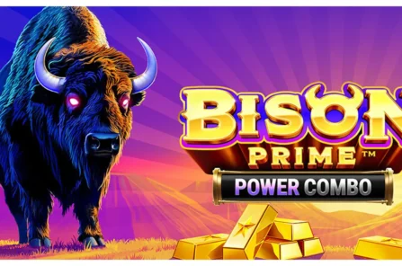Bison Prime Power Combo cover