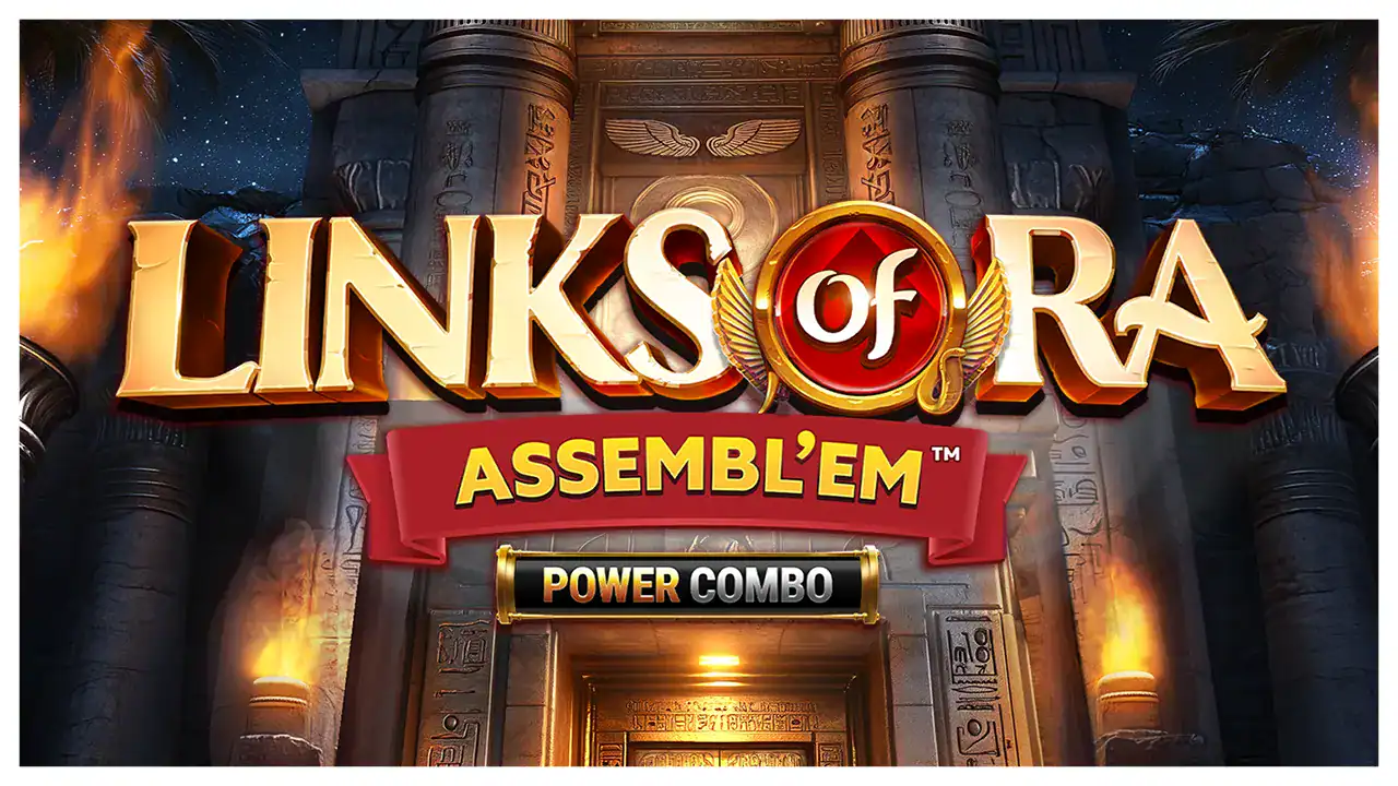 Links of Ra ASSEMBL'EM POWER COMBO slot cover