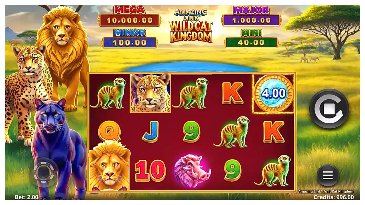 Amazing Link WildCat Kingdom s1 Amazing Link WildCat Kingdom s1