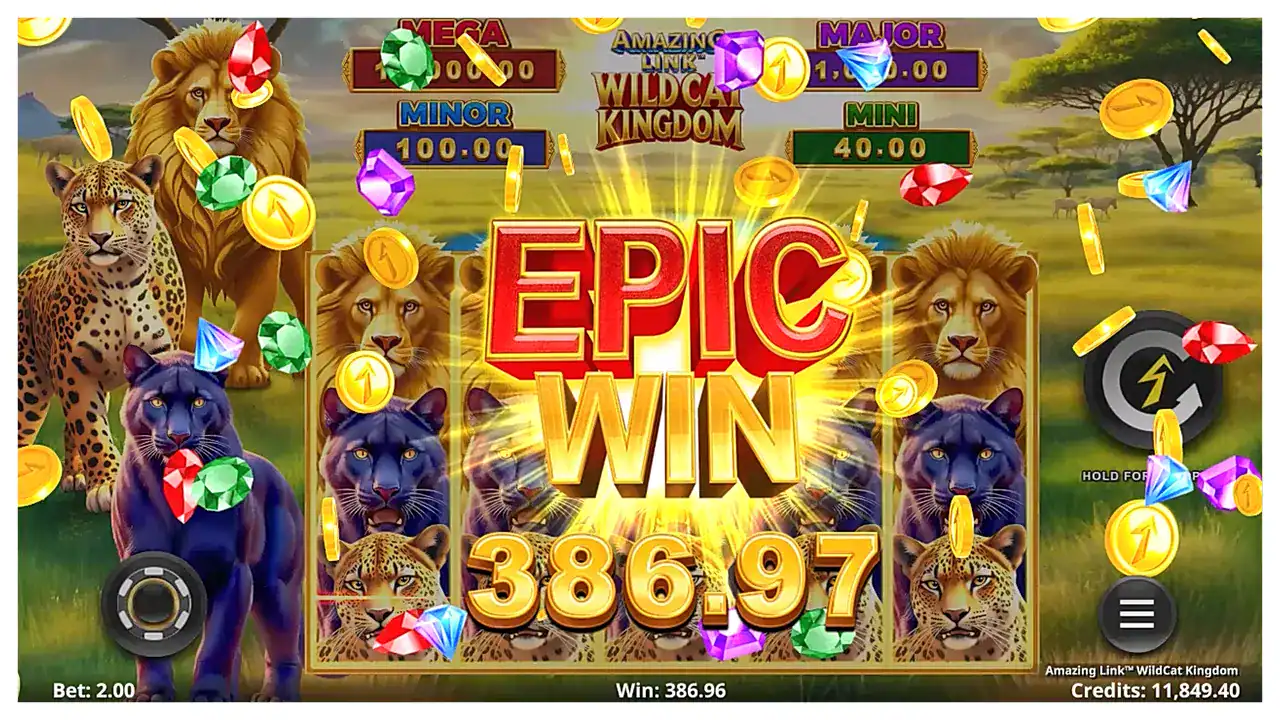 Amazing Link WildCat Kingdom s2 Amazing Link WildCat Kingdom s2