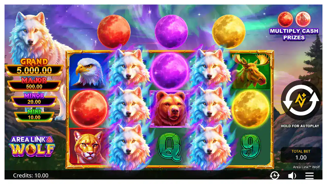 Area-Link-s1 Area-Link-Wolf-s1